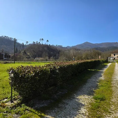 Om Ponente Daire